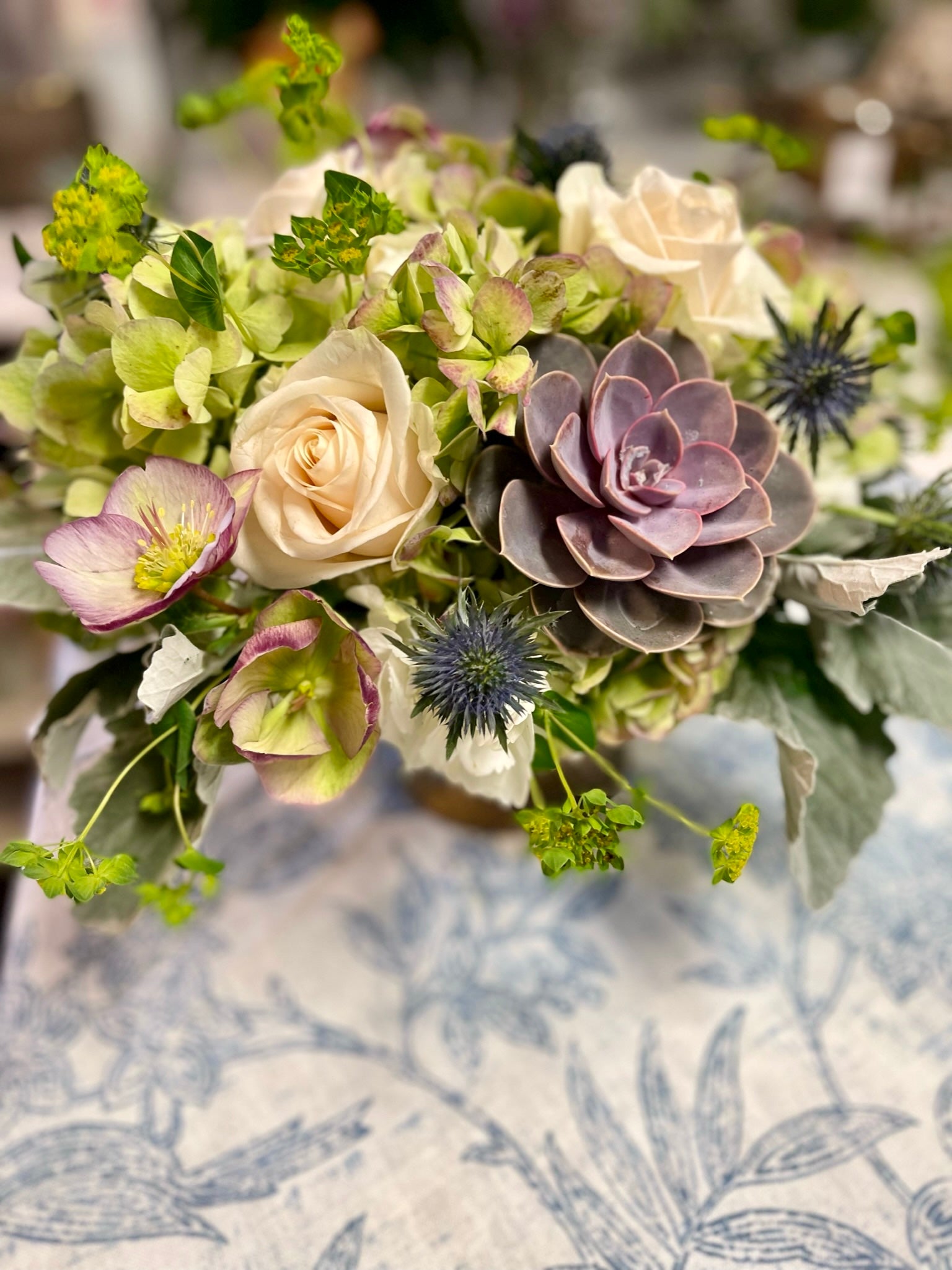 Img 3456 4850a40c d1e7 4393 96d1 77dd423084ee